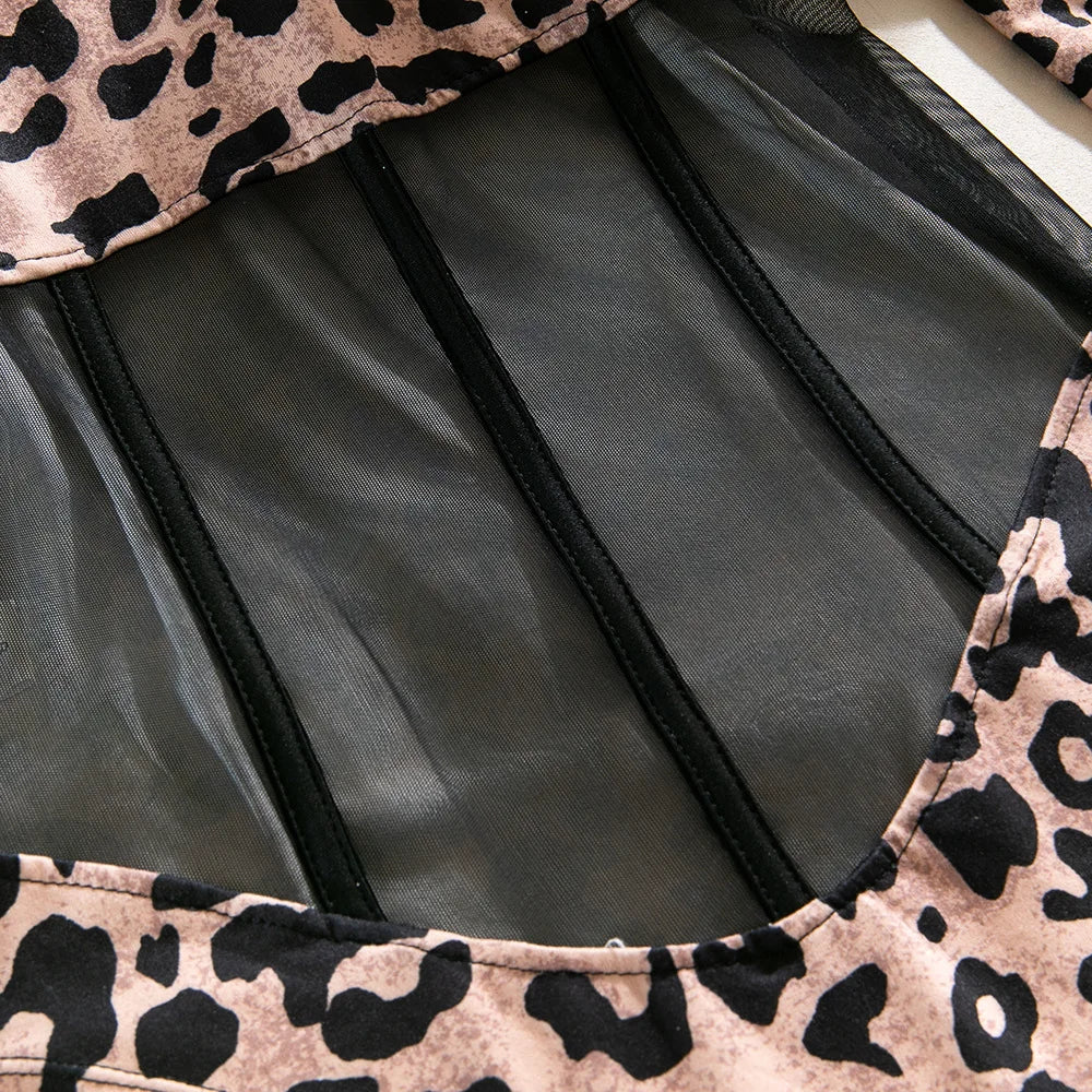 Leopard Print Sheer Mesh Corset Bodysuit Long Sleeve Stage Performance Dancewear