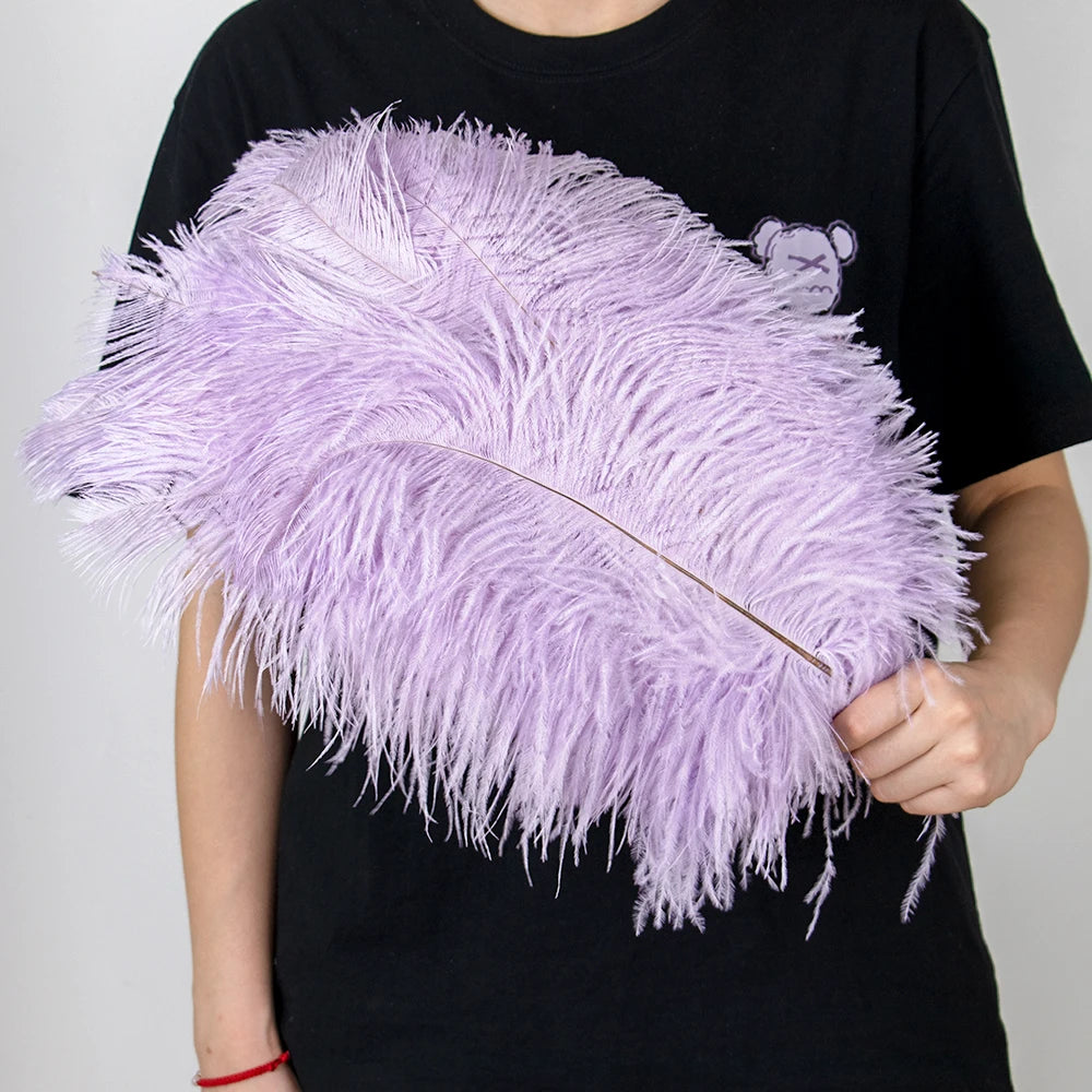 28-30IN Large Decorative Ostrich Feather Plumes