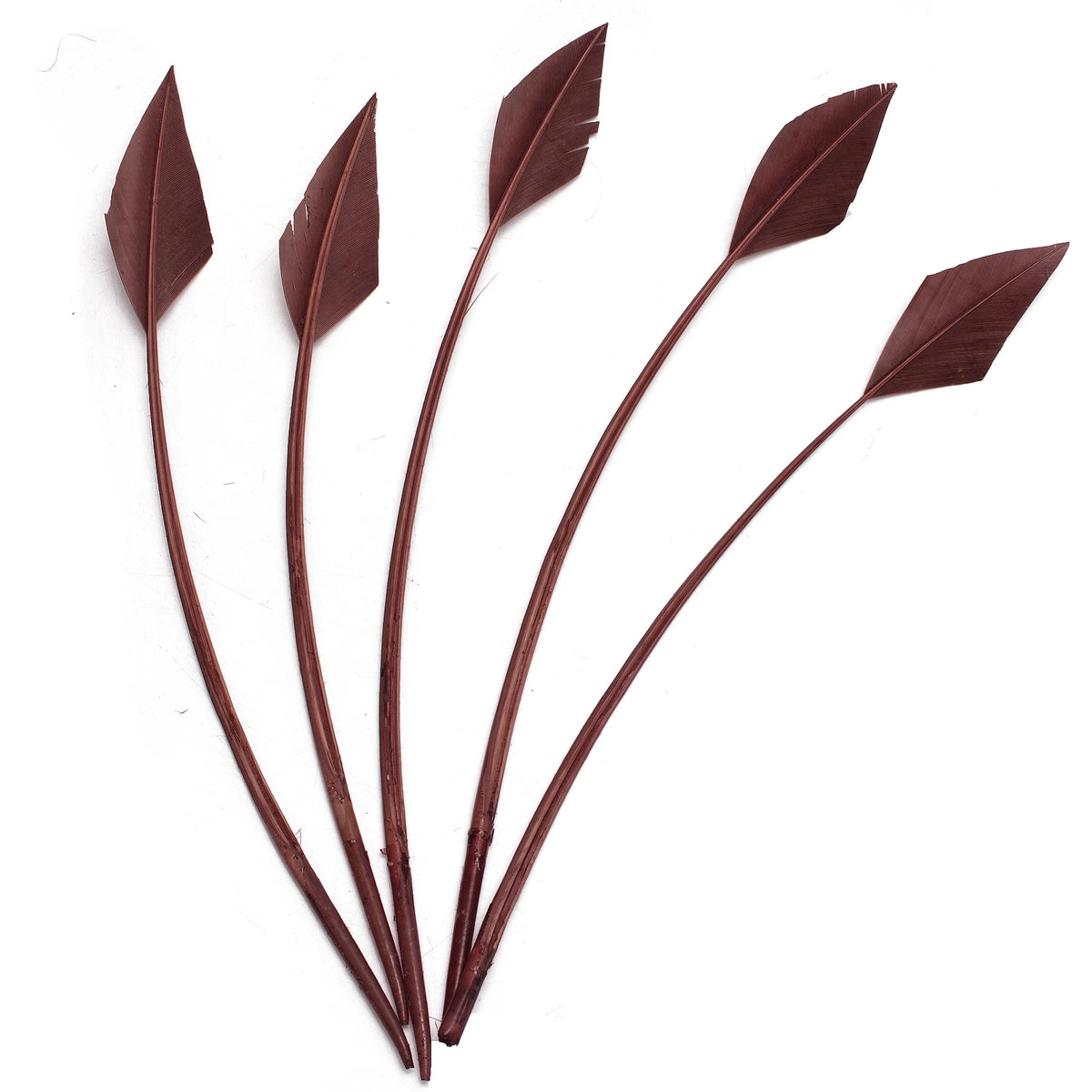 Arrowhead Turkey Feather Quill Trim — 28–33 cm