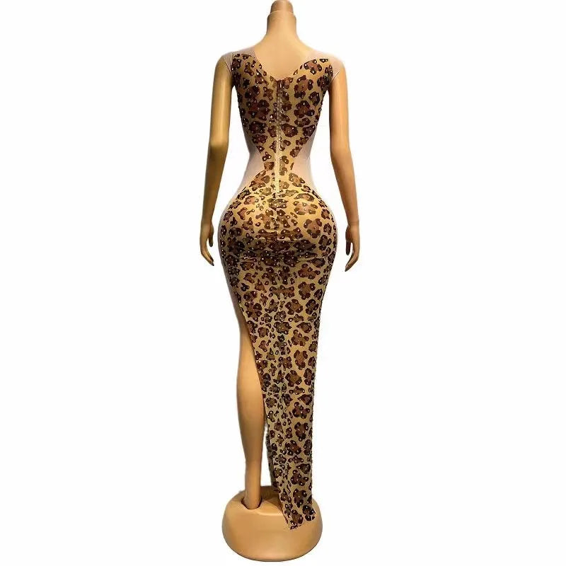 Women's Gold Rhinestone Leopard Print Sheer Dress | Sleeveless Stage & Singer Photoshoot Outfit