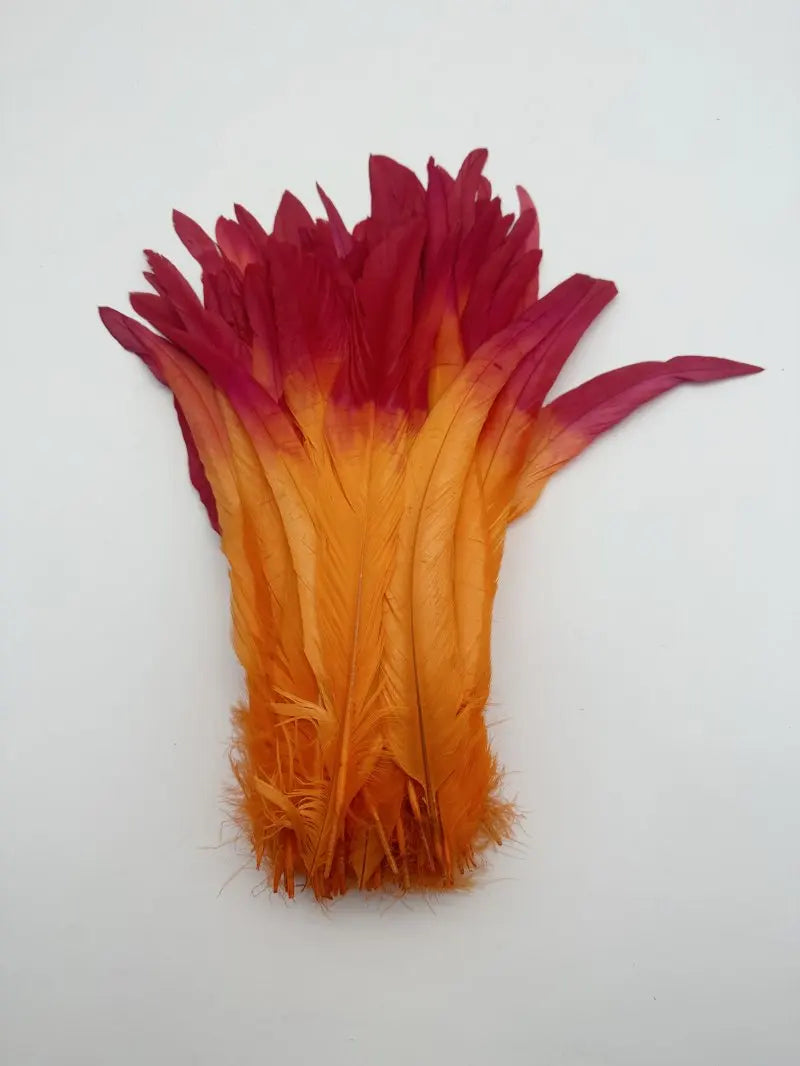 Premium Two-Tone Rooster Tail Feather Plumes (100PCS)
