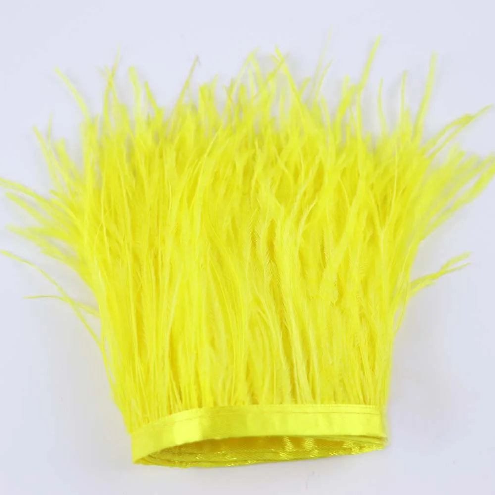 Natural Ostrich Feather Trim & Fringe