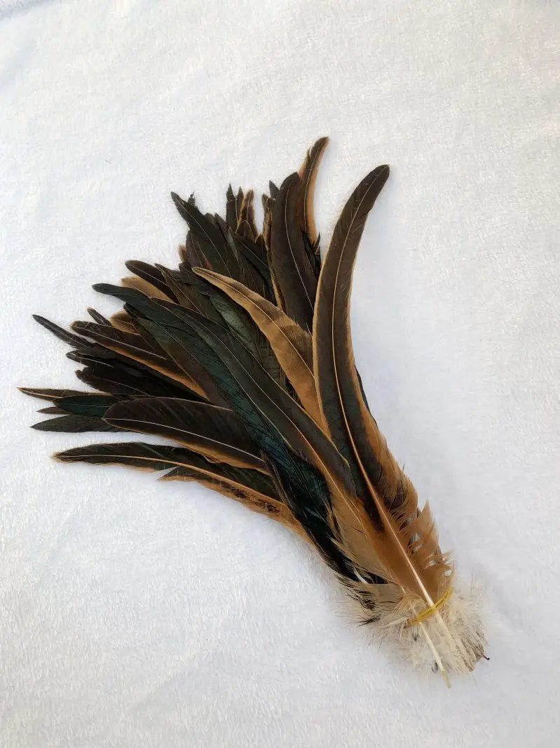 Premium Two-Tone Rooster Tail Feather Plumes (100PCS)