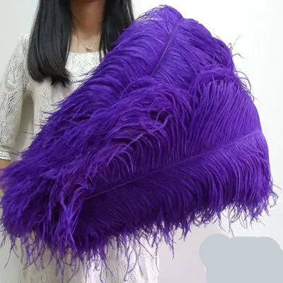 10PC 28-30IN Ostrich Feather Plumes