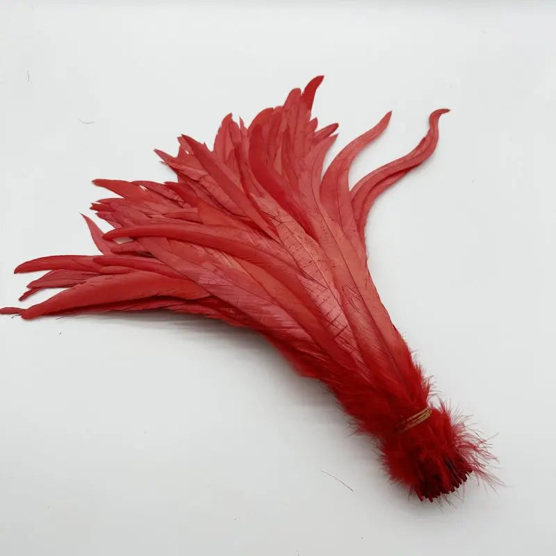 Premium Two-Tone Rooster Tail Feather Plumes (100PCS)