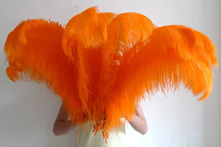 10PC 28-30IN Ostrich Feather Plumes