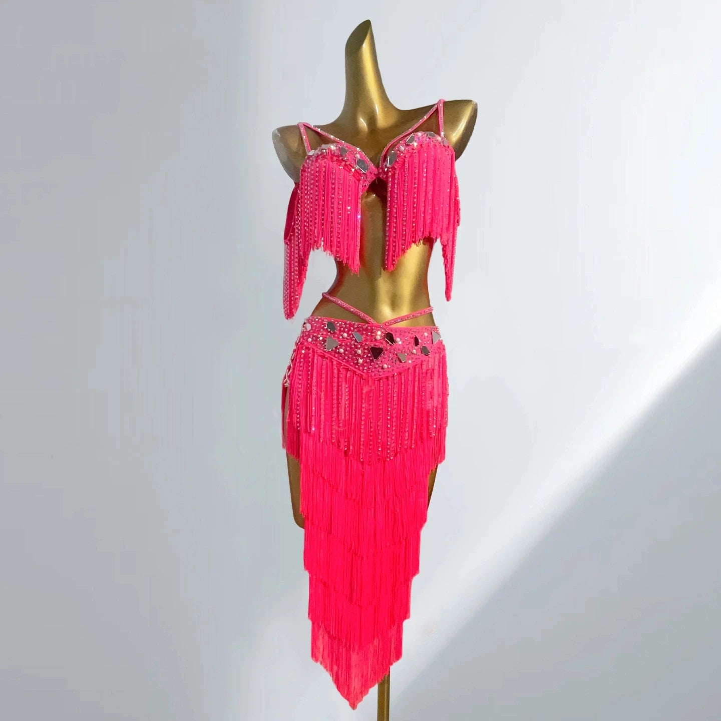 Luxury Tassel Top & Skirt Belly Dance Performance Set