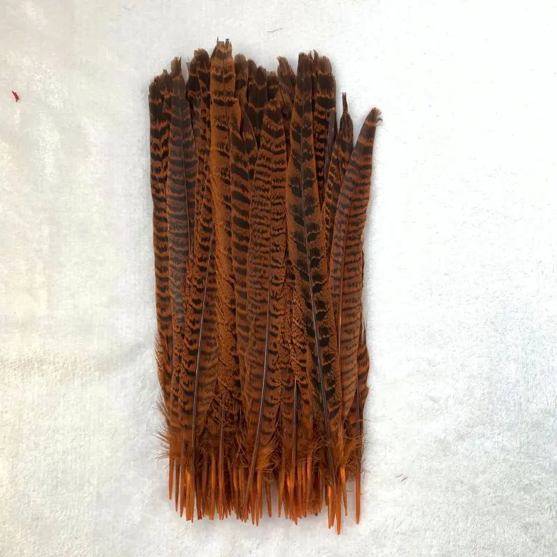 Natural Female Pheasant Tail Feathers (100PCS)