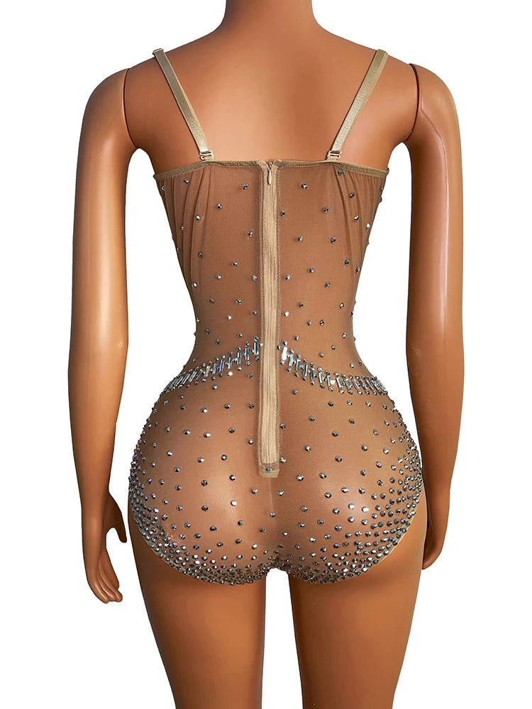 Sparkly Silver Crystal Rhinestone Mesh Leotard Stage Performance Costume