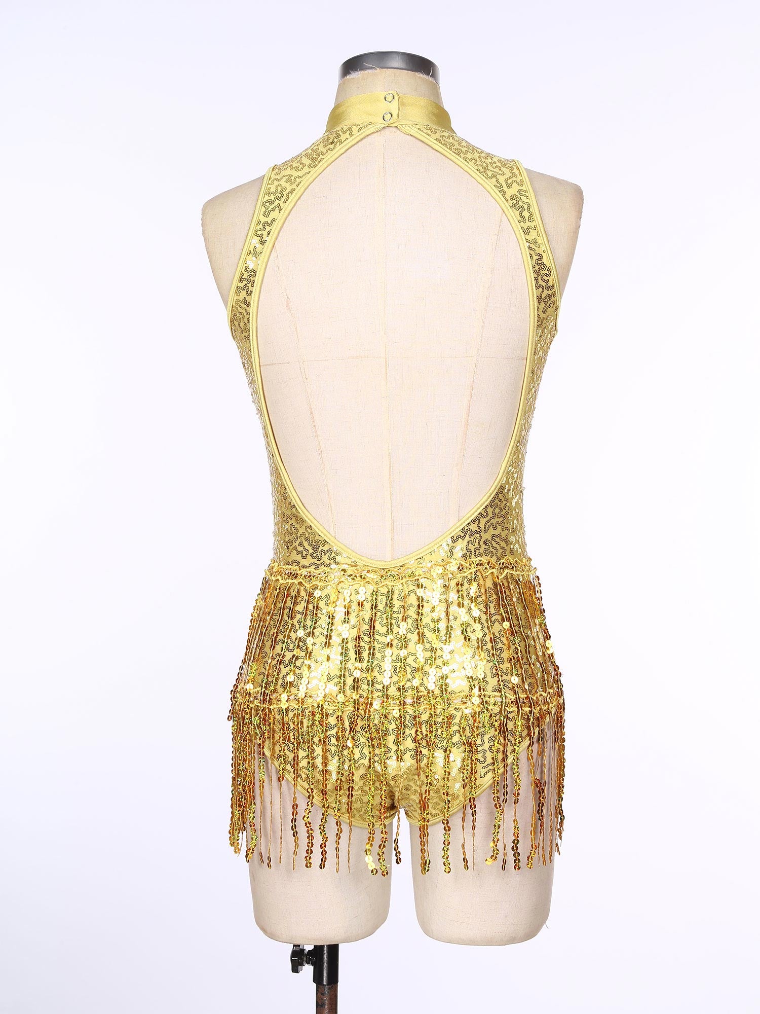 Glitter Sequin Fringe Latin Dance Leotard & Backless Performance Bodysuit