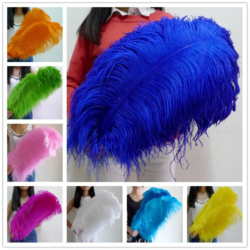 10PC 28-30IN Ostrich Feather Plumes