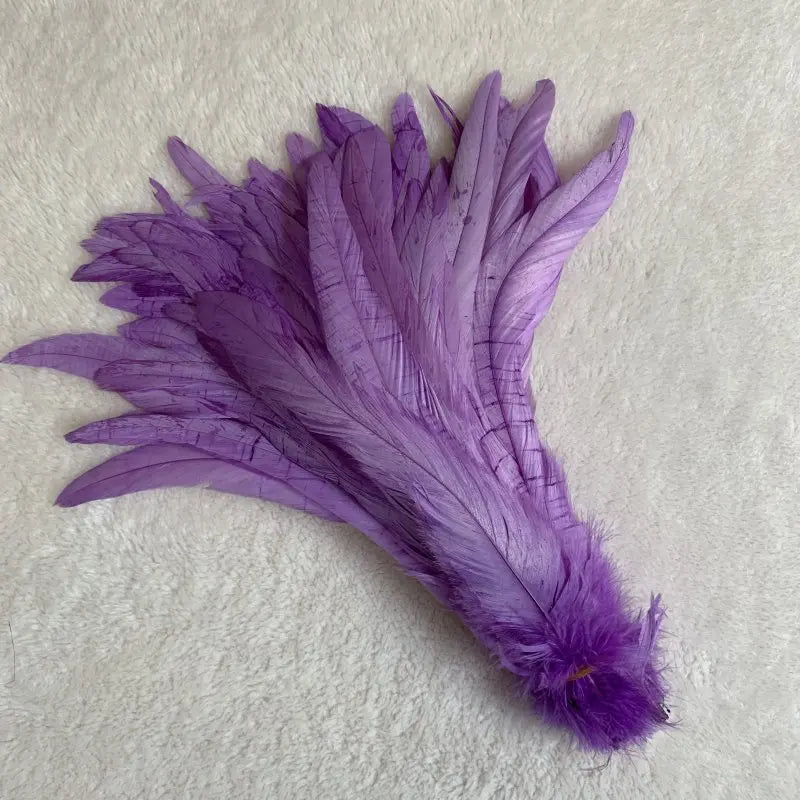 Premium Two-Tone Rooster Tail Feather Plumes (100PCS)
