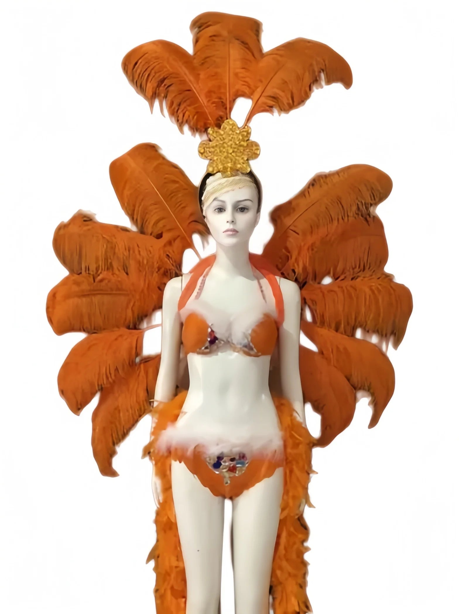 The Stardust Victoria Sovereign – Deluxe Angel Feather Wing & Headdress Stage Costume Set