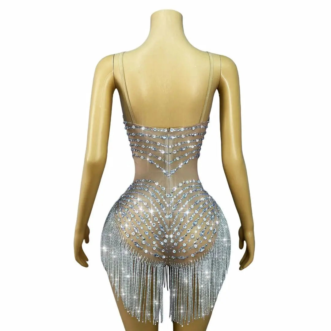 Sparkly Silver Rhinestone Tassel Sheer Mesh Stage Bodysuit Leotard Costume