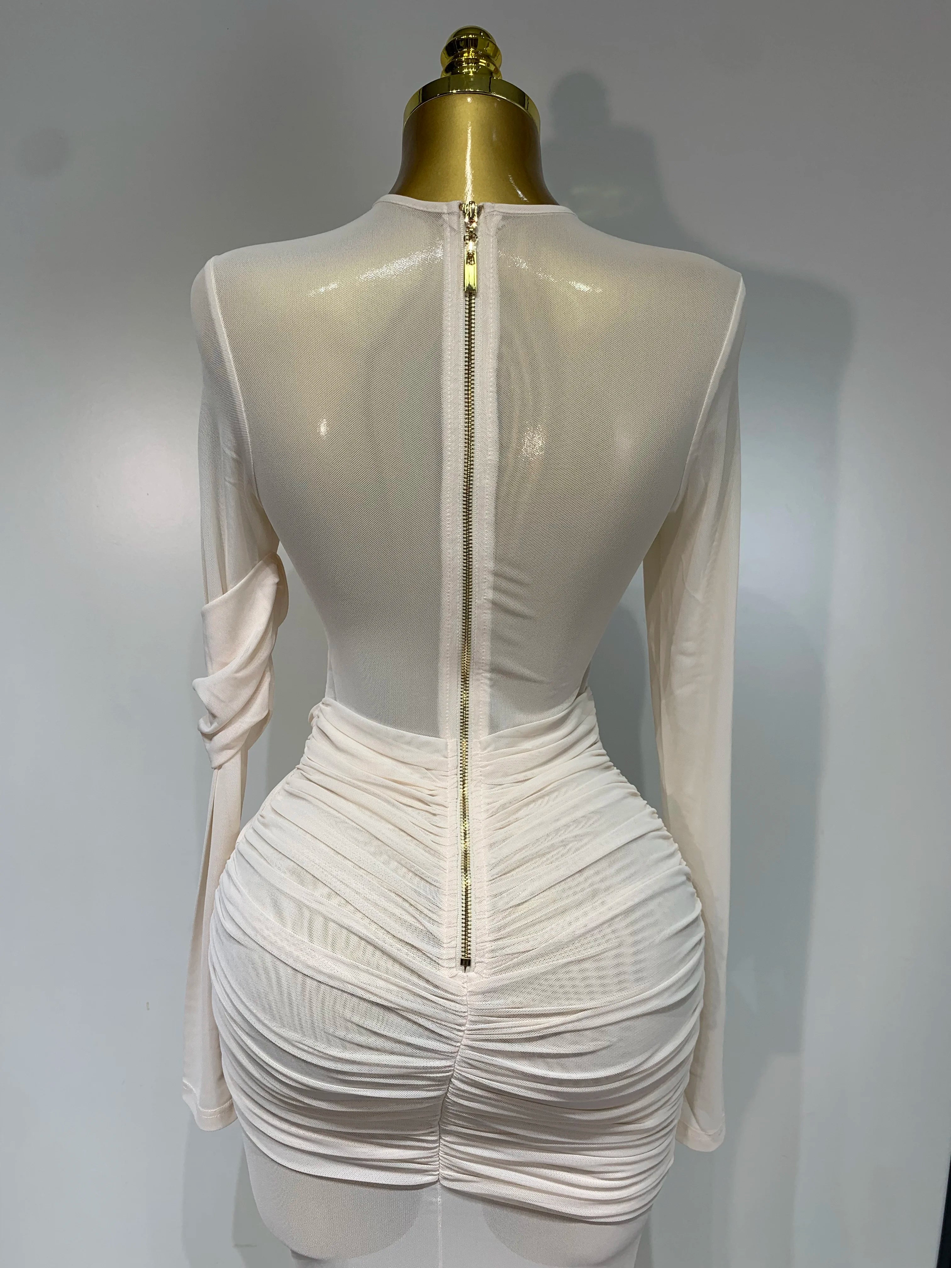 Ruched Mesh Draped Bodycon Maxi Dress Long Sleeve Illusion Evening Gown
