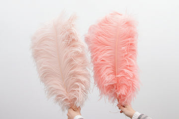 28-30IN Large Decorative Ostrich Feather Plumes
