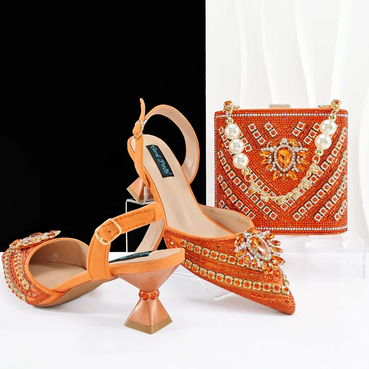 Matching Women Shoe and Bag Set