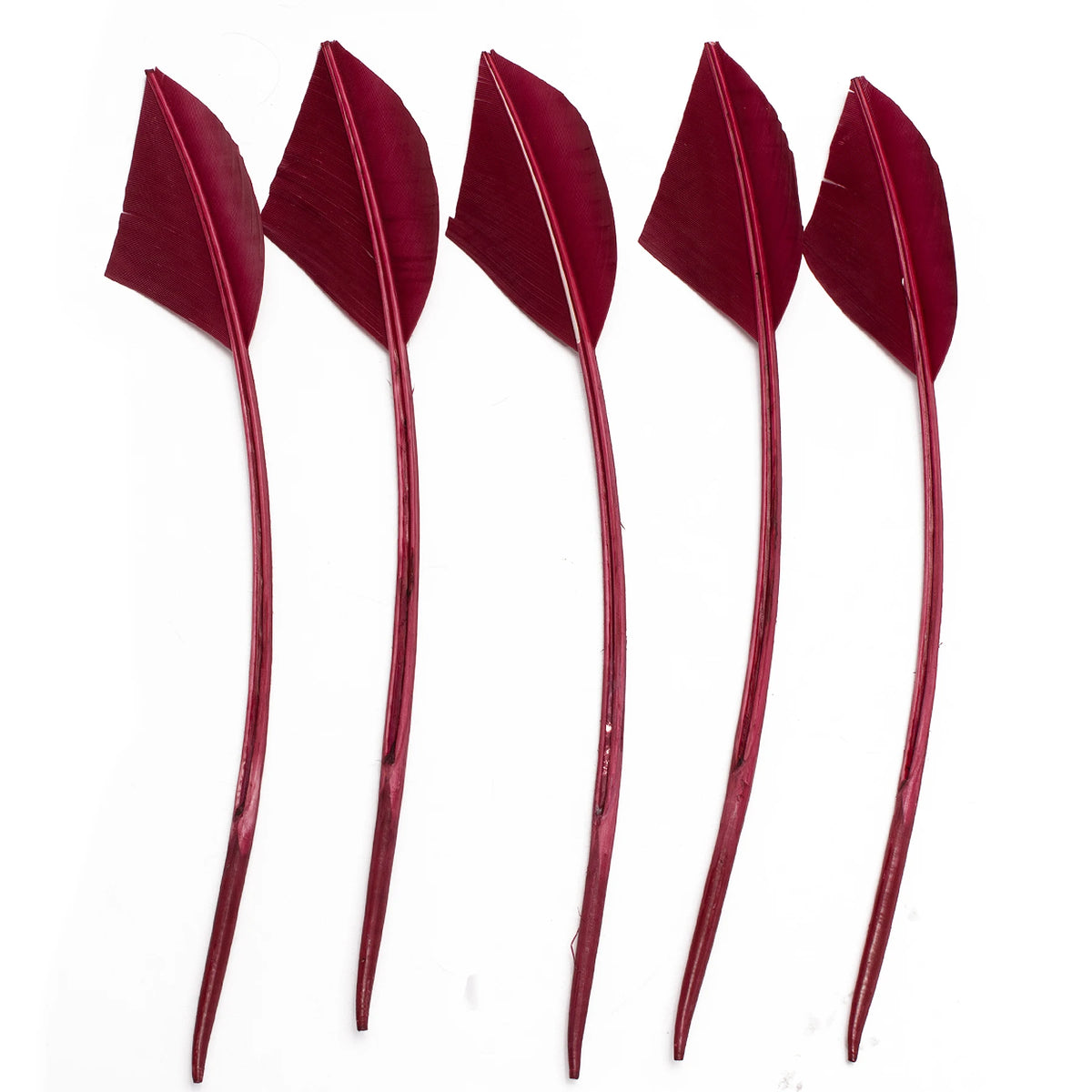Arrowhead Turkey Feather Quill Trim — 28–33 cm