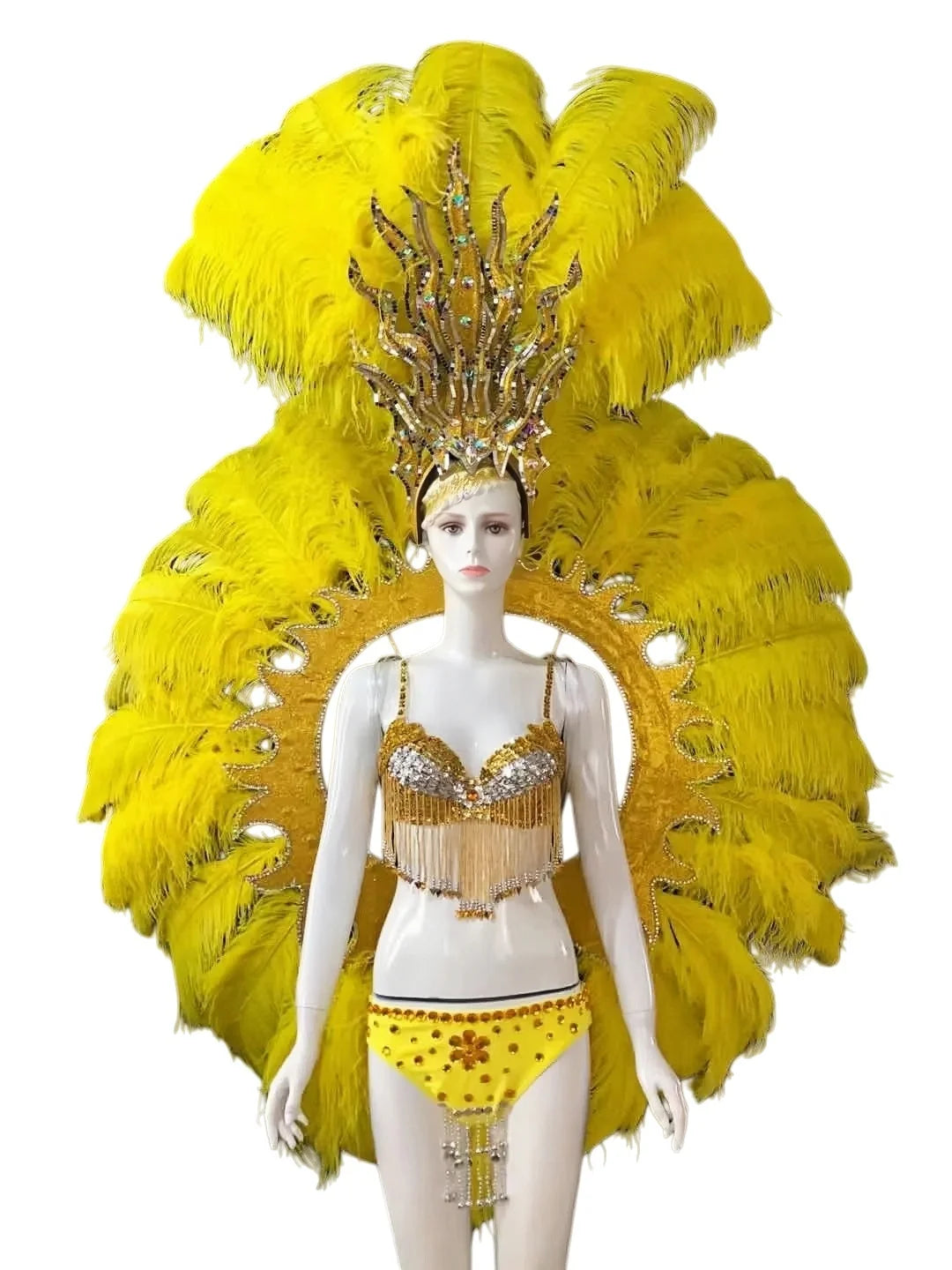 Feathered Carnival Headdress and Backpack Wing Set
