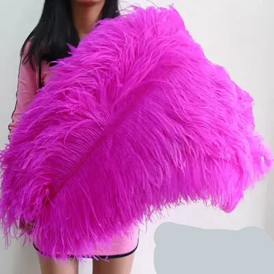 10PC 28-30IN Ostrich Feather Plumes