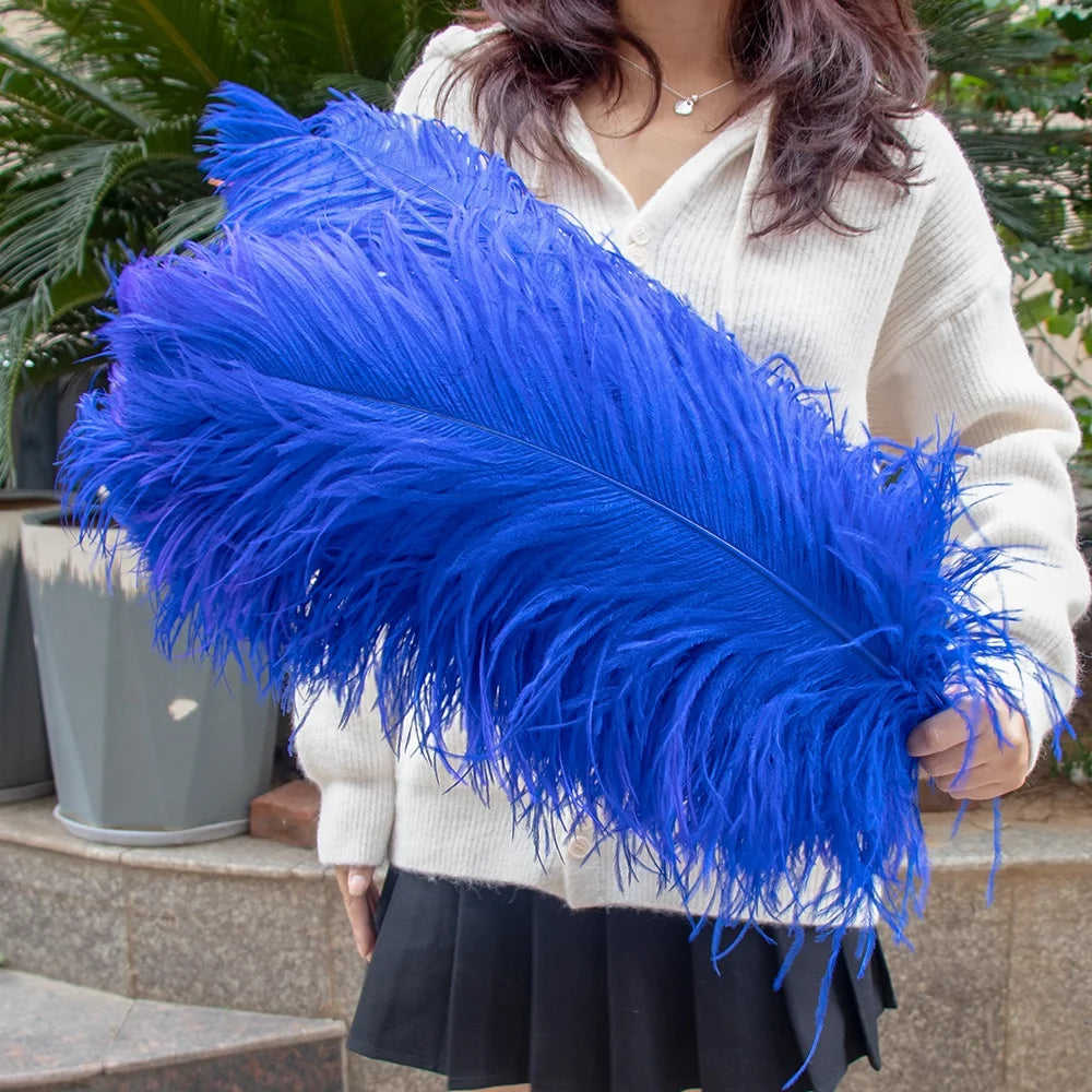 28-30IN Large Decorative Ostrich Feather Plumes