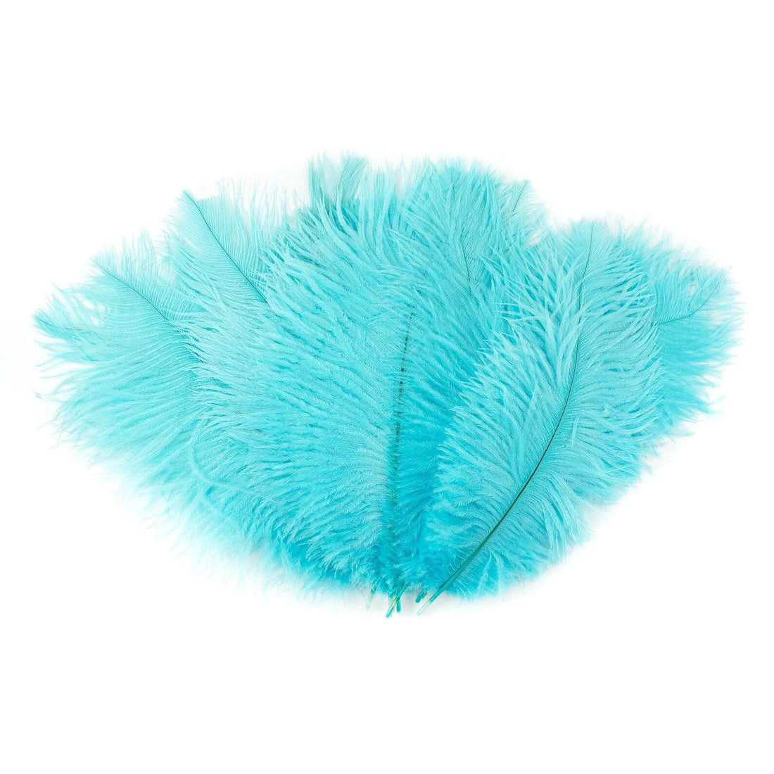 9"-12" Ostrich Feather Drabs 12pc